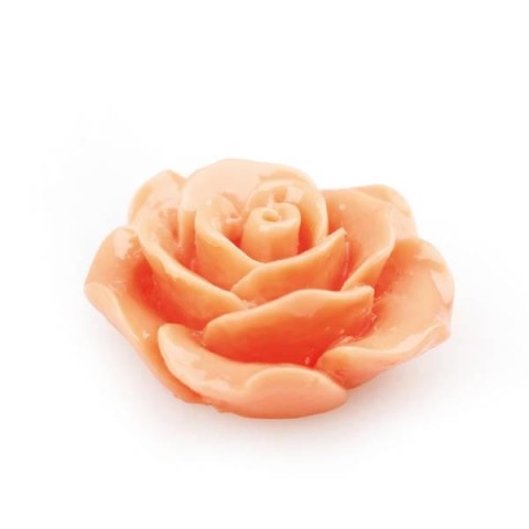 APPL ROSELLINA RES SALMONE 2.3